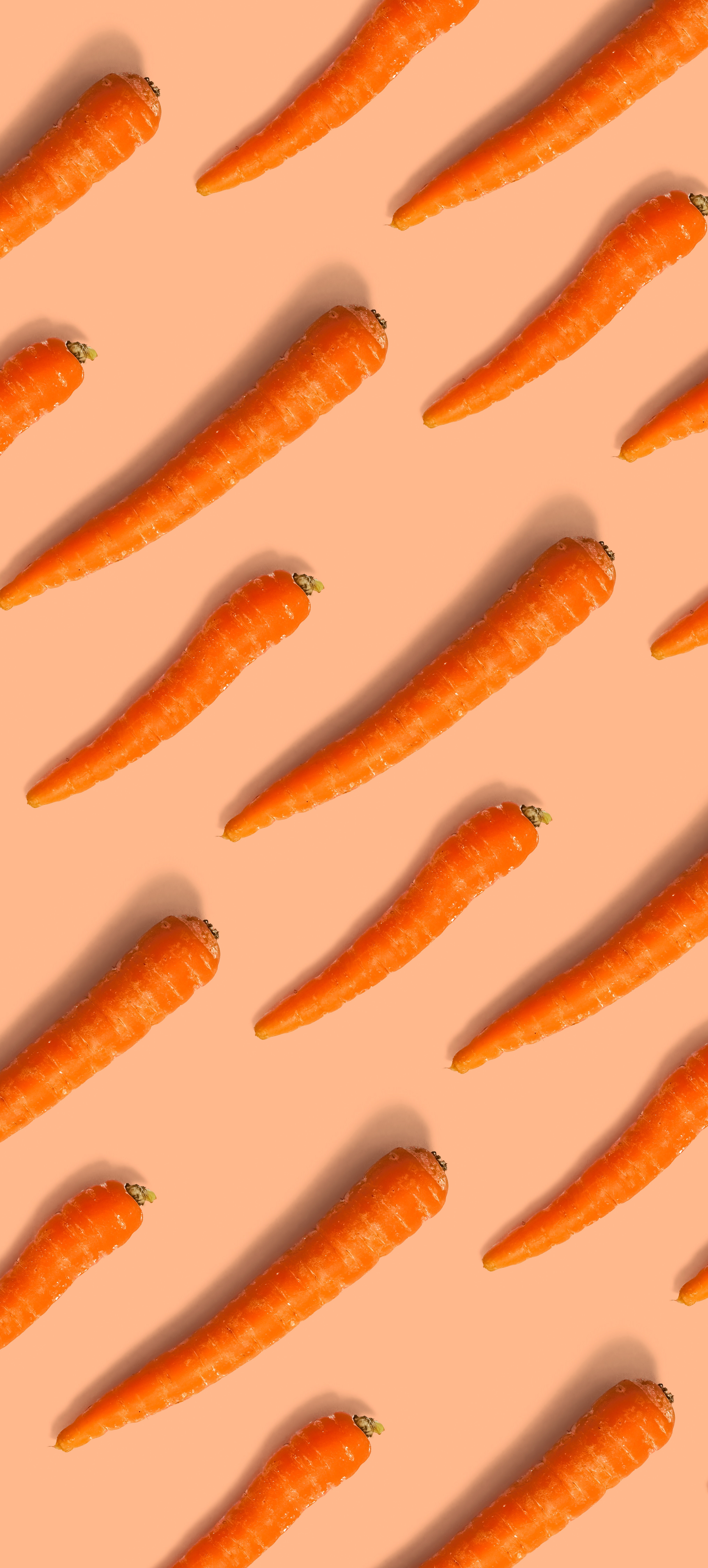 huile de carotte soleil peau